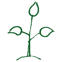Tree Planting & Sourcing